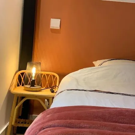 Le Petit Nid D'aline, Hyper-centre, Parking Privé *