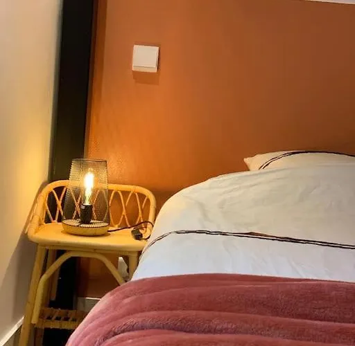 Le Petit Nid D'aline, Hyper-centre, Parking Privé *