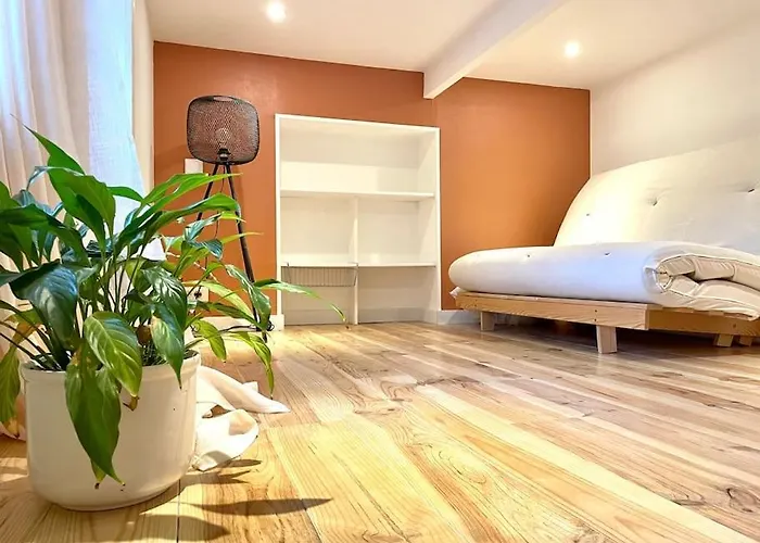 Le Petit Nid D'aline, Hyper-centre, Parking Privé *